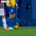 Egy papagáj elvitte a show-t a portugál meccsen –  VIDEÓ